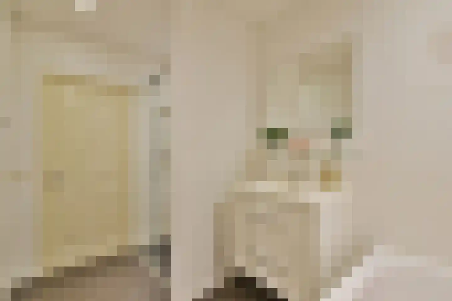 Overtoom 244 2 Amsterdam thumbnail 20