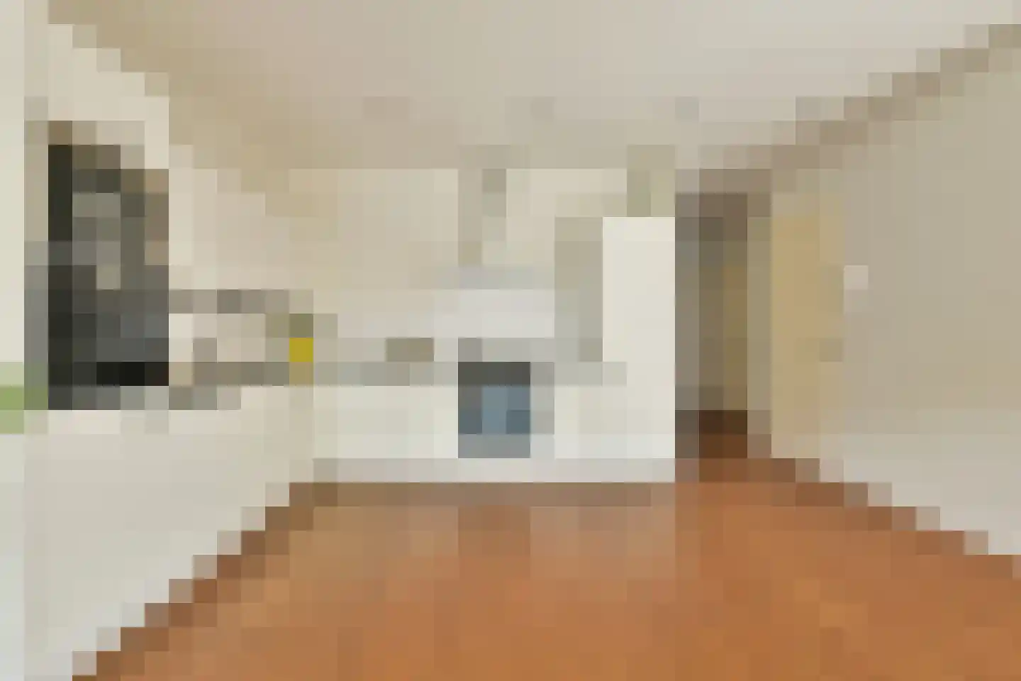 Overtoom 244 2 Amsterdam thumbnail 8