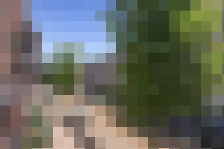 Overtoom 246 2 Amsterdam thumbnail 27