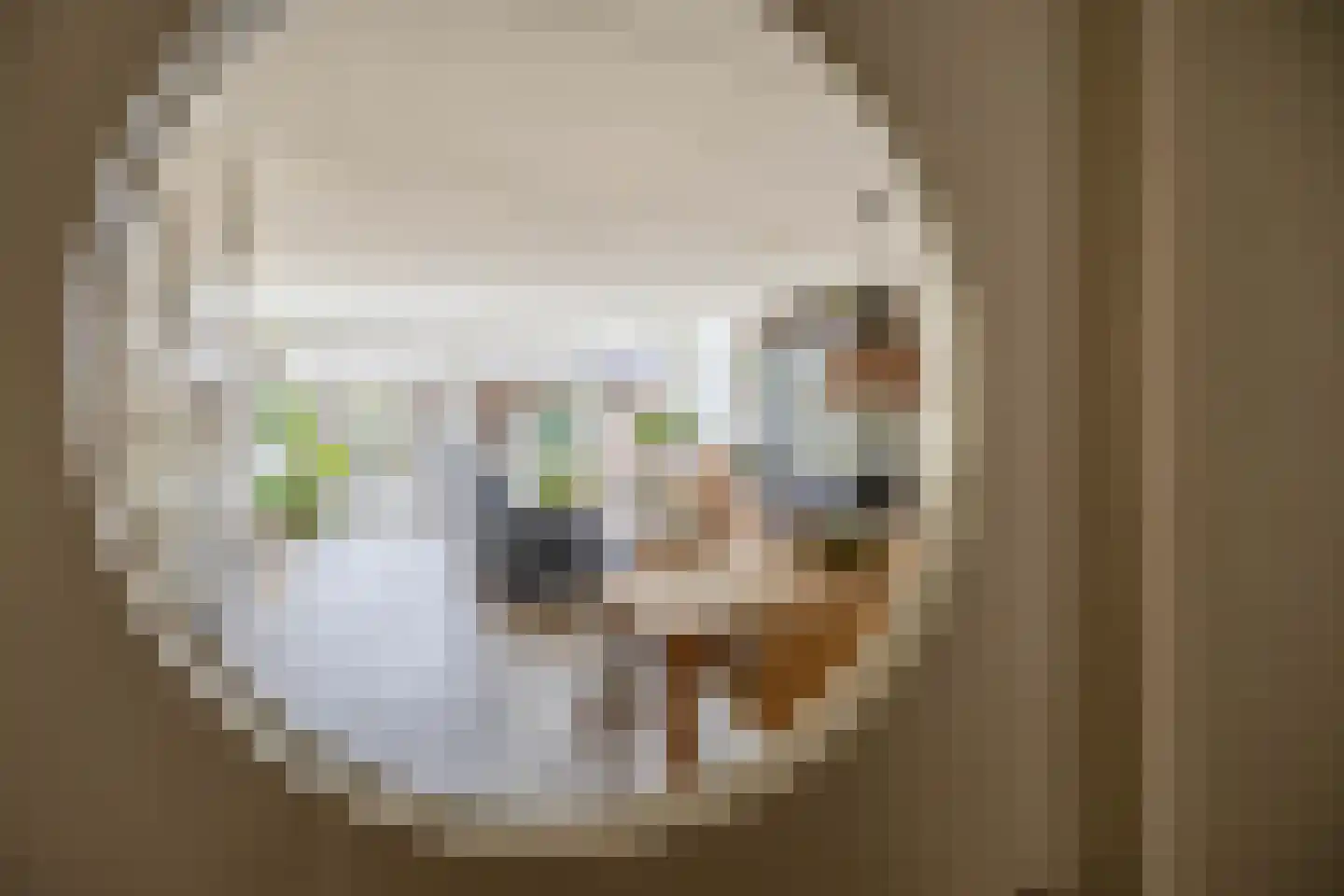 Overtoom 25 Waddinxveen thumbnail 11