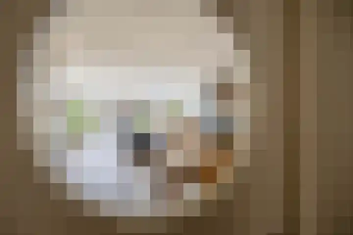 Overtoom 25 Waddinxveen thumbnail 11