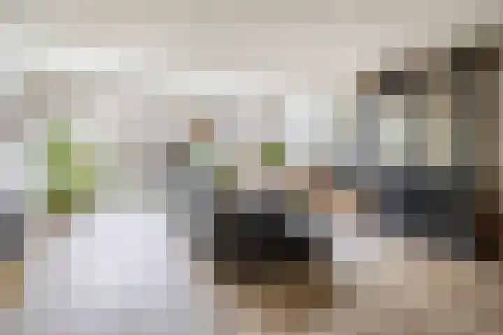 Overtoom 25 Waddinxveen thumbnail 12