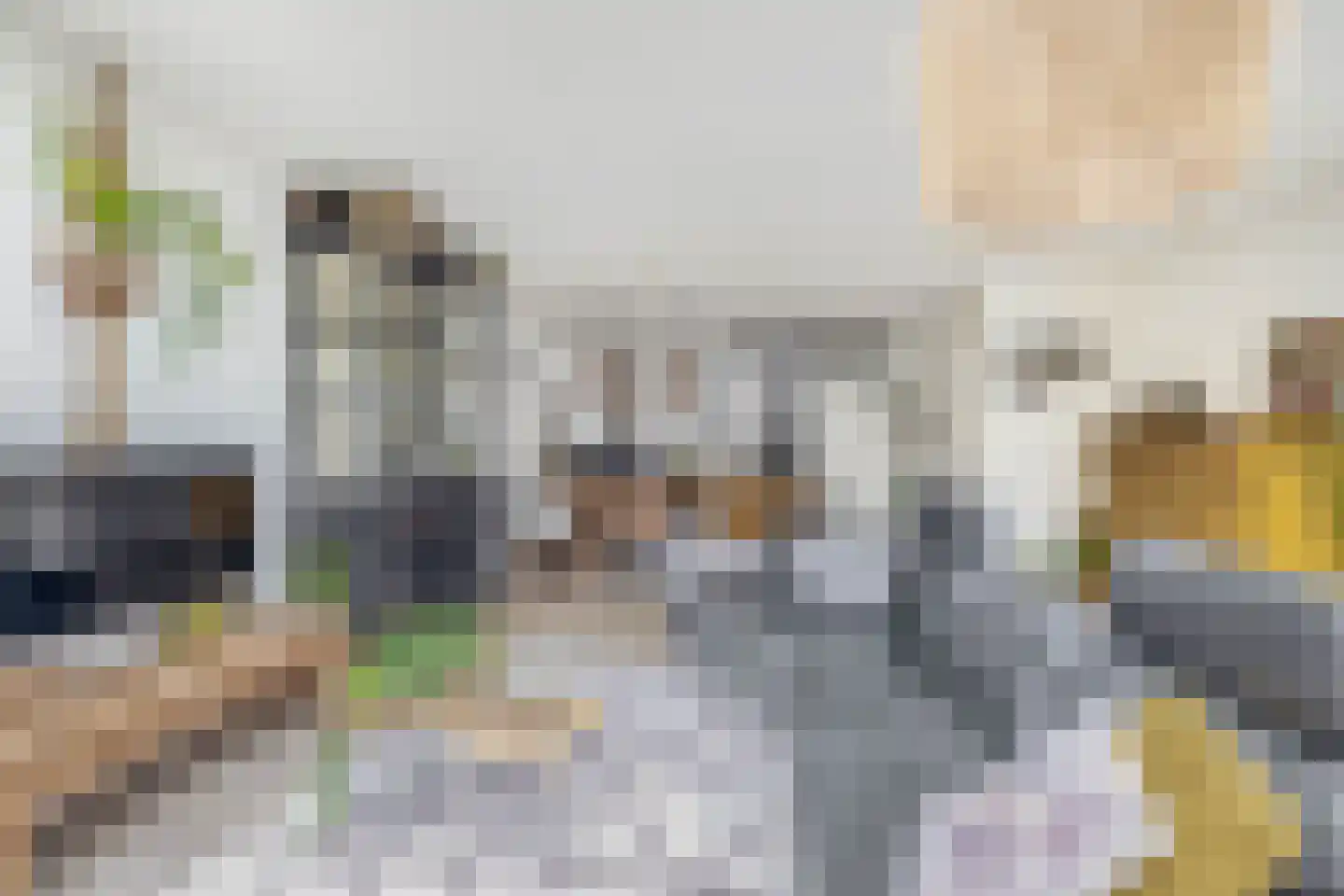 Overtoom 25 Waddinxveen thumbnail 13
