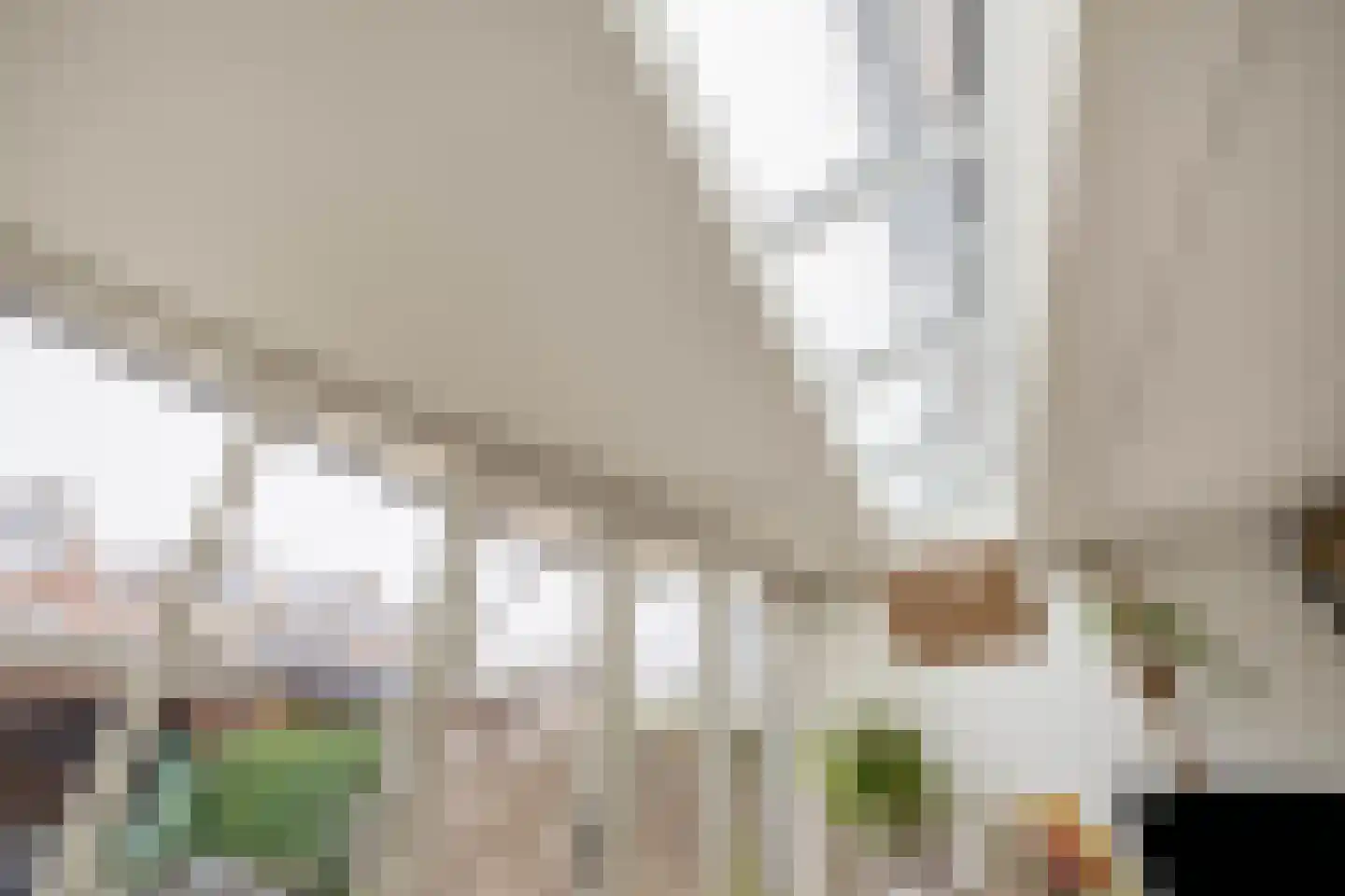 Overtoom 25 Waddinxveen thumbnail 14