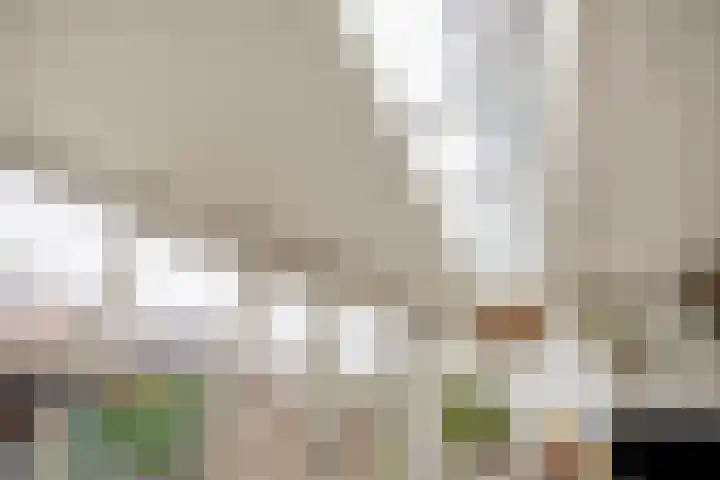 Overtoom 25 Waddinxveen thumbnail 14