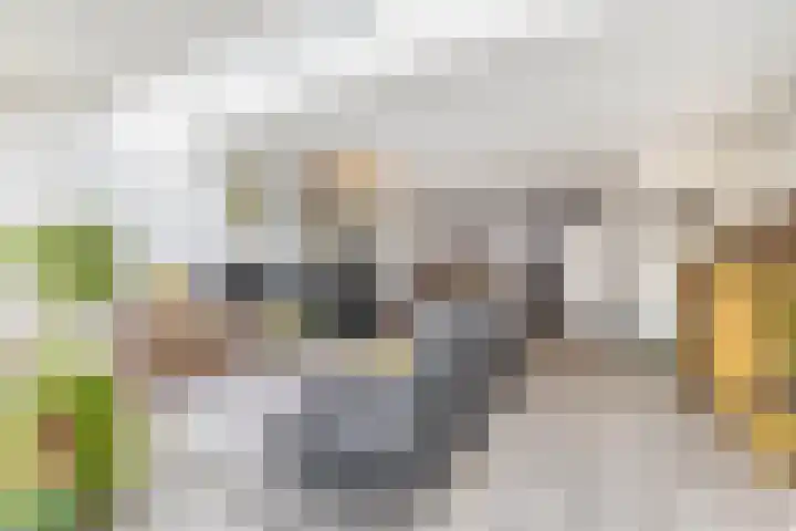 Overtoom 25 Waddinxveen thumbnail 15