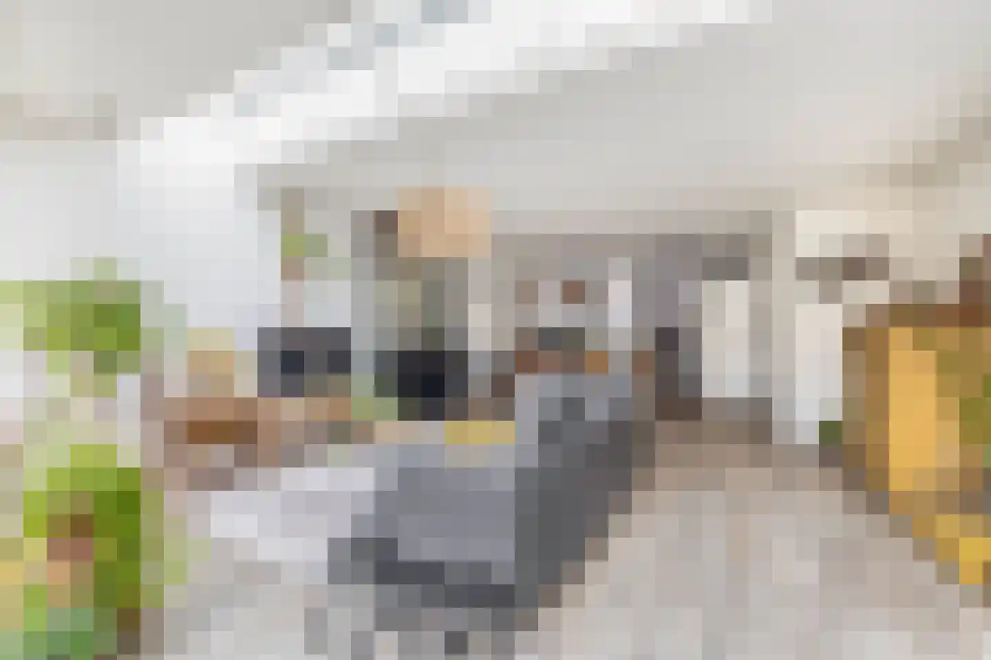 Overtoom 25 Waddinxveen thumbnail 15