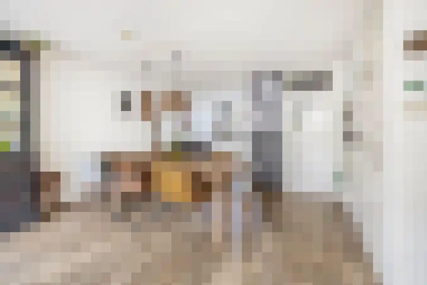 Overtoom 25 Waddinxveen thumbnail 16