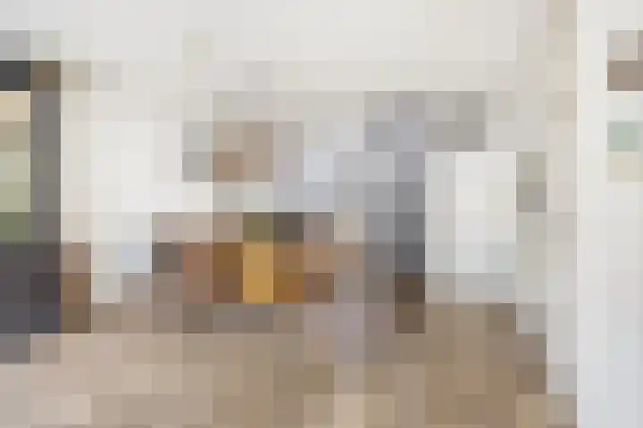 Overtoom 25 Waddinxveen thumbnail 16