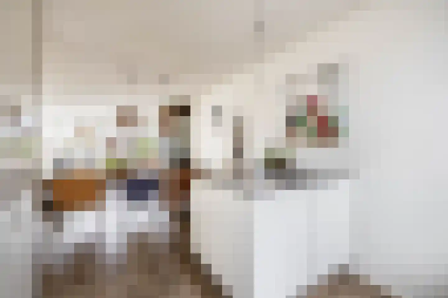 Overtoom 25 Waddinxveen thumbnail 19