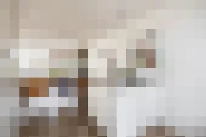 Overtoom 25 Waddinxveen thumbnail 19