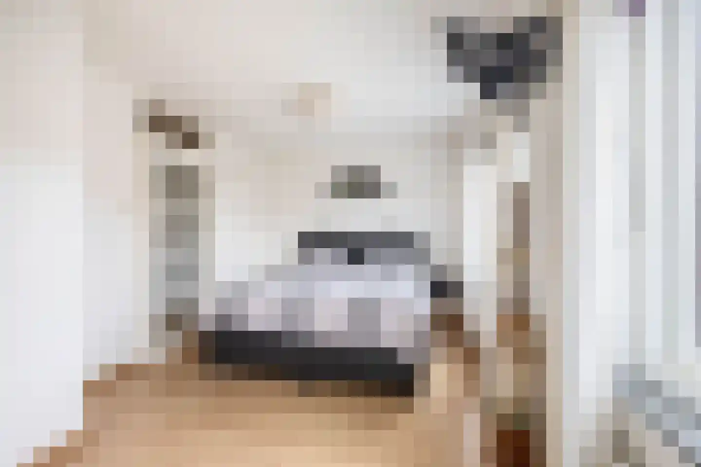 Overtoom 25 Waddinxveen thumbnail 23