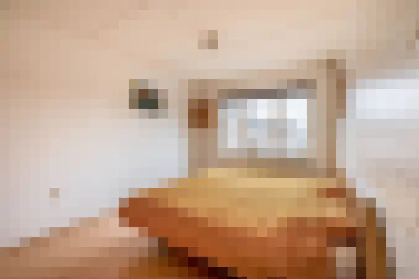 Overtoom 25 Waddinxveen thumbnail 28