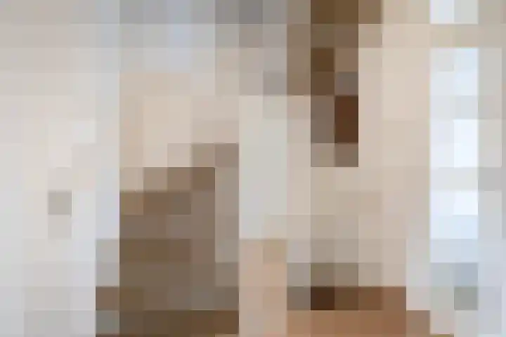 Overtoom 25 Waddinxveen thumbnail 29