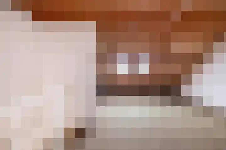 Overtoom 25 Waddinxveen thumbnail 30
