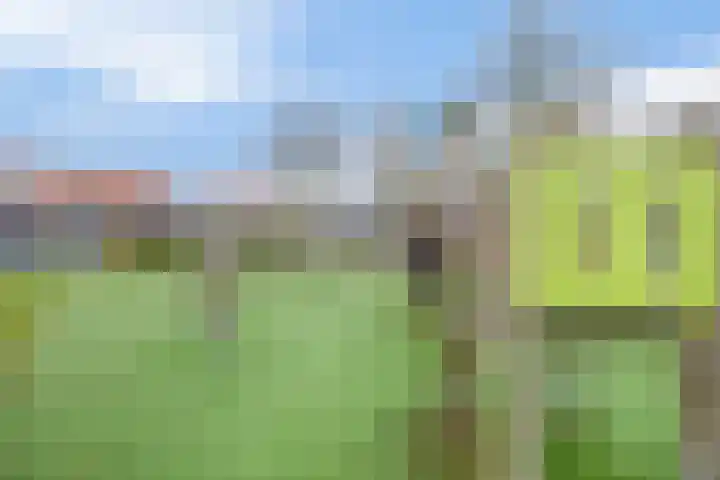 Overtoom 25 Waddinxveen thumbnail 32