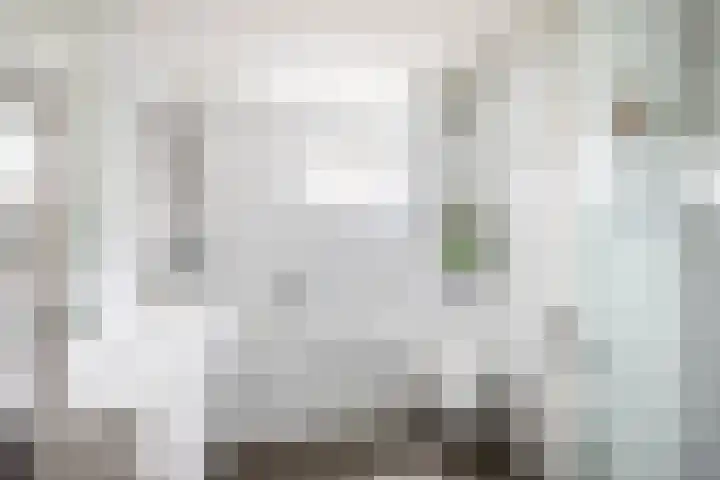 Overtoom 25 Waddinxveen thumbnail 4
