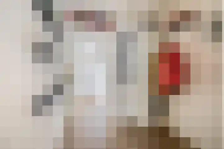 Overtoom 25 Waddinxveen thumbnail 8