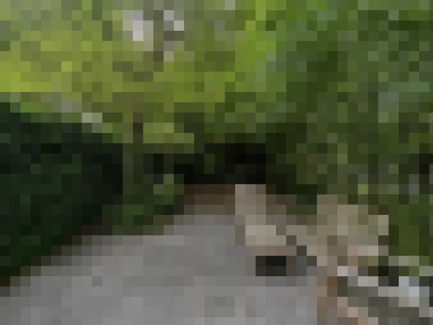 Overtoom 252 A Amsterdam thumbnail 13