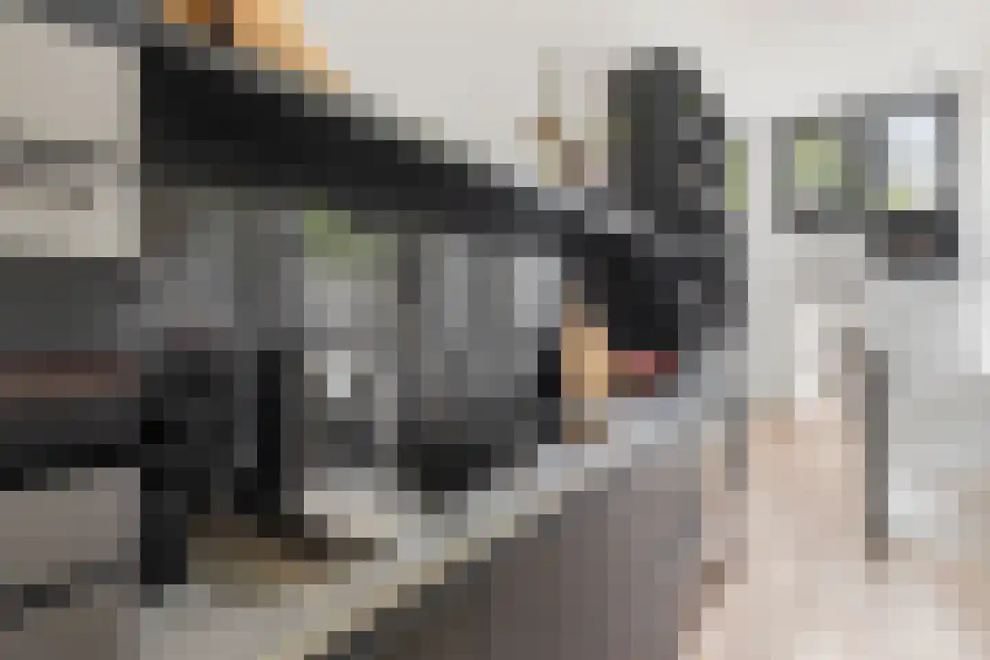 Overtoom 278 A Amsterdam thumbnail 17