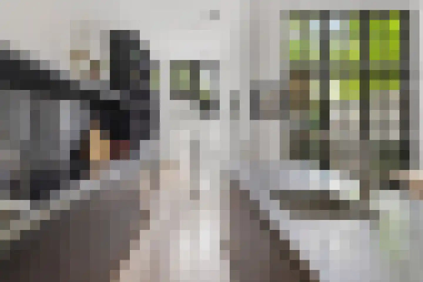 Overtoom 278 A Amsterdam thumbnail 18