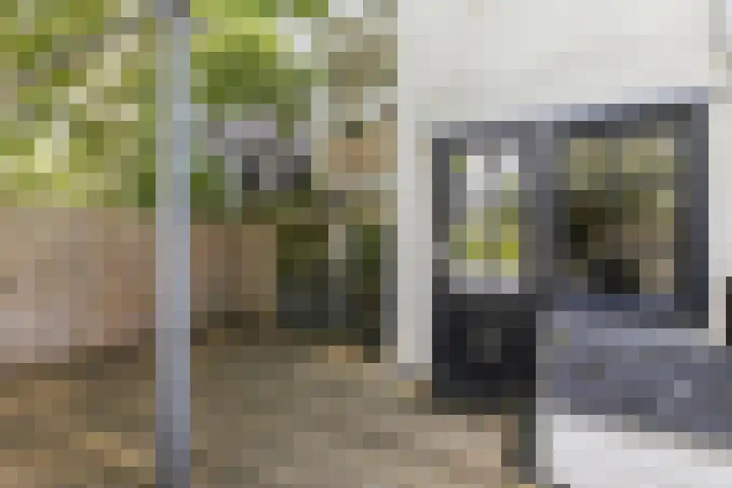 Overtoom 278 A Amsterdam thumbnail 27