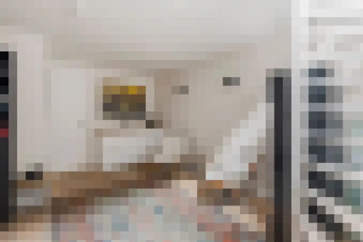 Overtoom 278 A Amsterdam thumbnail 31