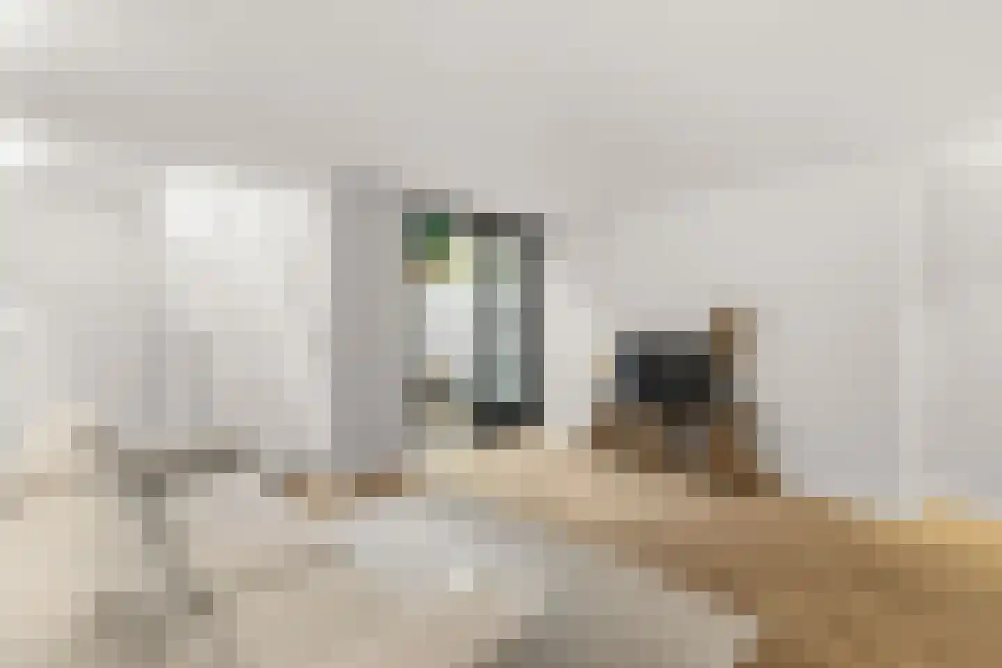 Overtoom 278 A Amsterdam thumbnail 36