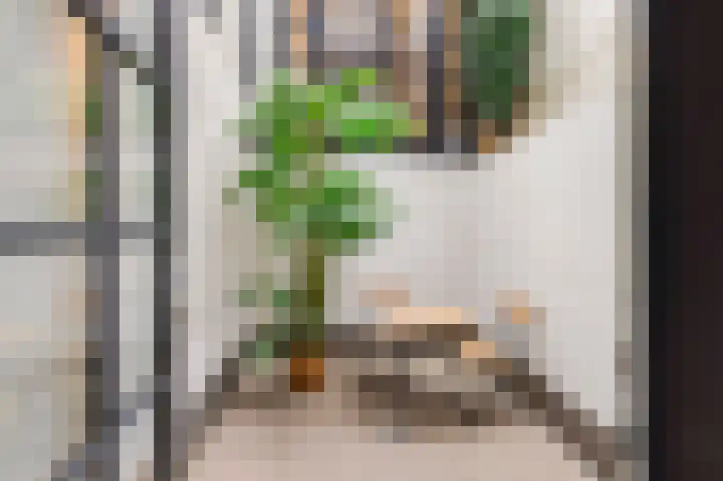 Overtoom 278 A Amsterdam thumbnail 39