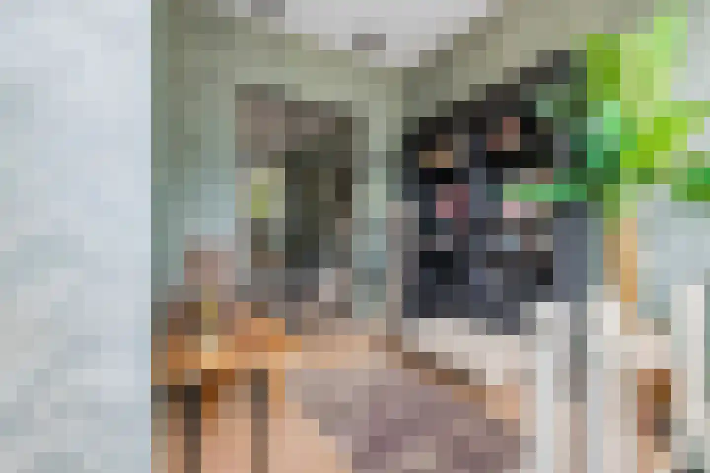 Overtoom 278 A Amsterdam thumbnail 4