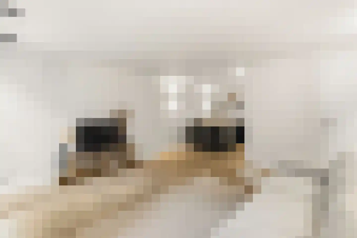 Overtoom 278 A Amsterdam thumbnail 40