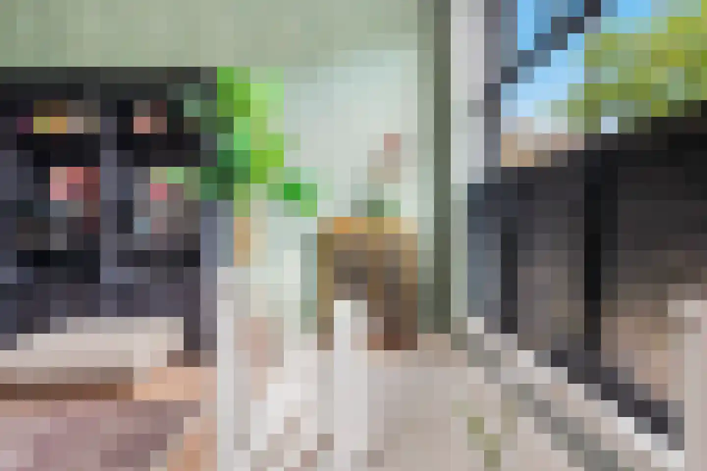 Overtoom 278 A Amsterdam thumbnail 5