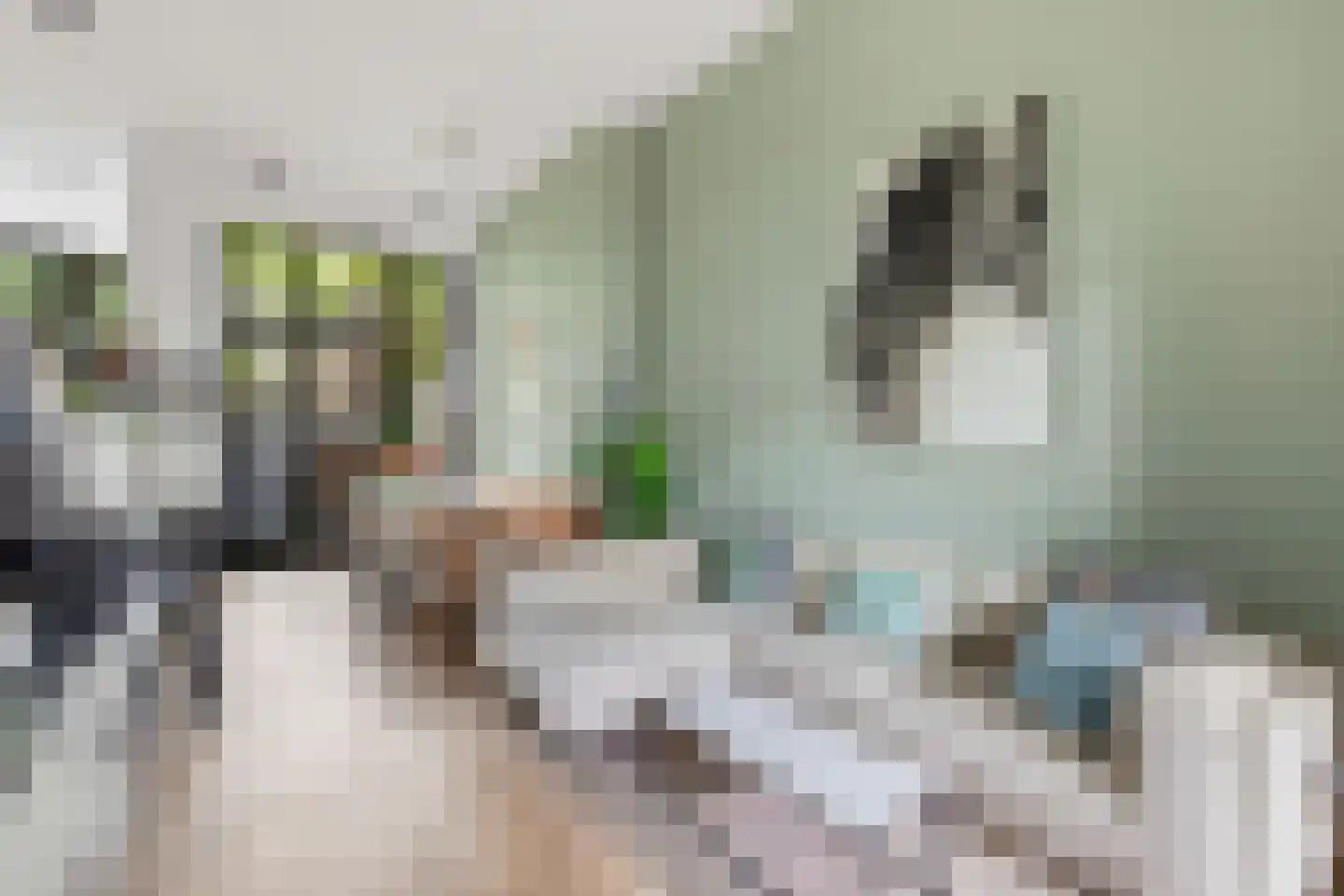 Overtoom 278 A Amsterdam thumbnail 8