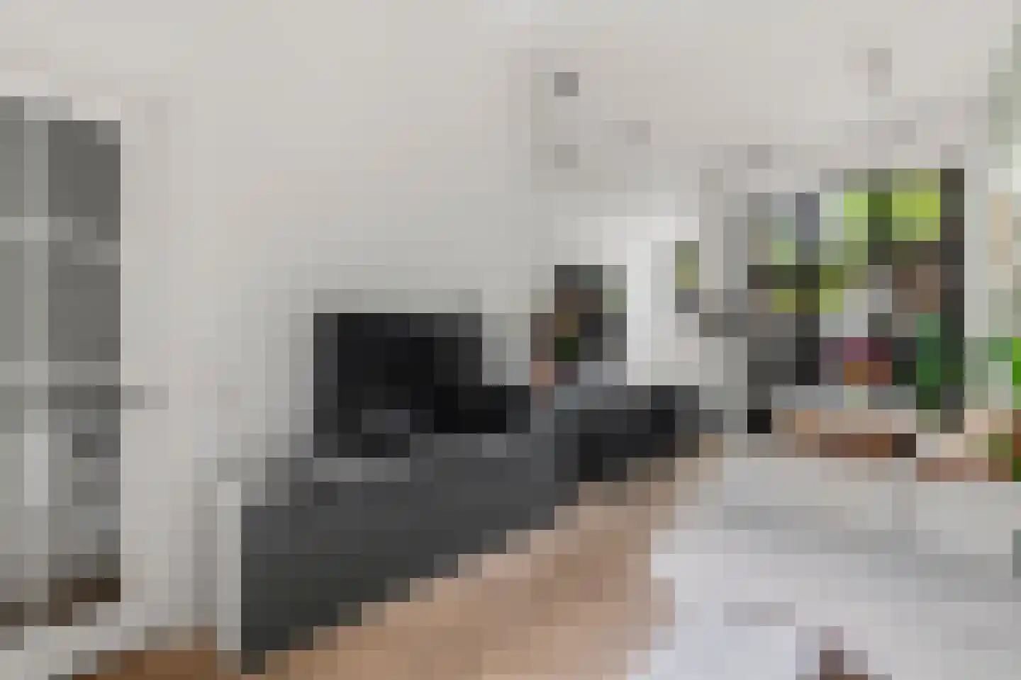 Overtoom 278 A Amsterdam thumbnail 9