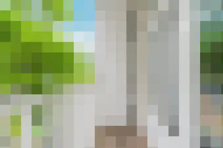 Overtoom 278 C Amsterdam thumbnail 26
