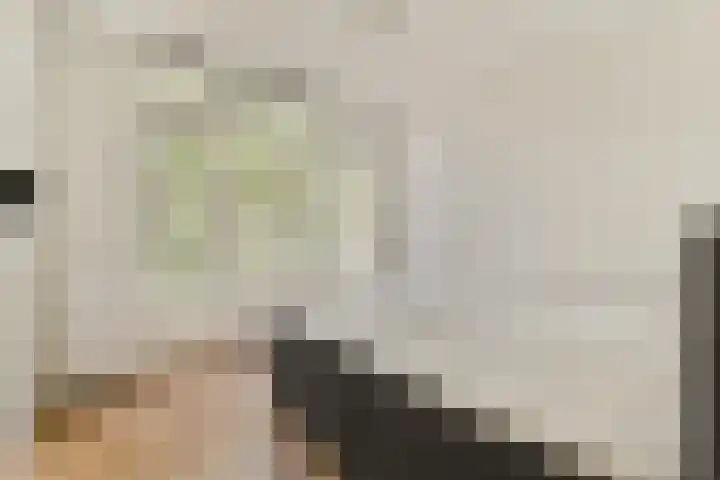 Overtoom 278 D Amsterdam thumbnail 12