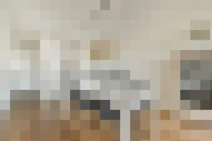 Overtoom 278 D Amsterdam thumbnail 5