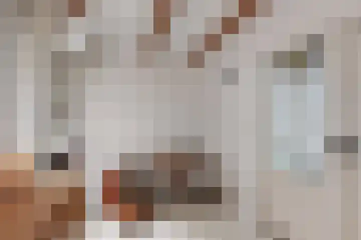 Overtoom 284 1 Amsterdam thumbnail 20