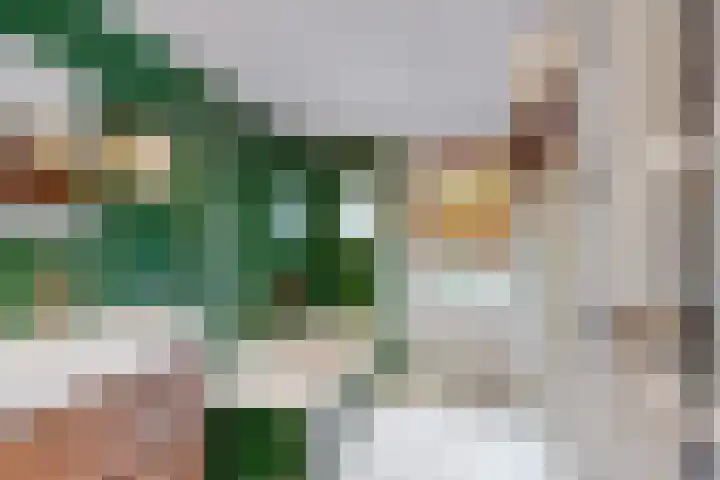 Overtoom 284 1 Amsterdam thumbnail 24