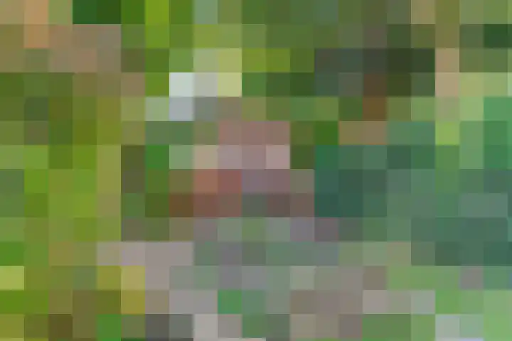 Overtoom 284 1 Amsterdam thumbnail 27