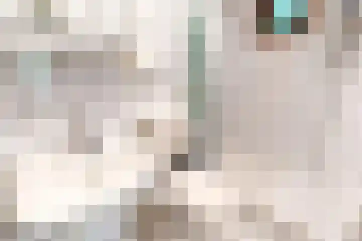Overtoom 284 1 Amsterdam thumbnail 31