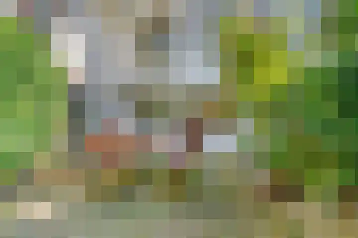 Overtoom 284 1 Amsterdam thumbnail 4