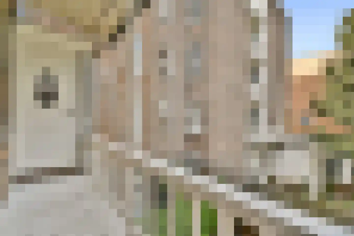 Overtoom 296 A Amsterdam thumbnail 21