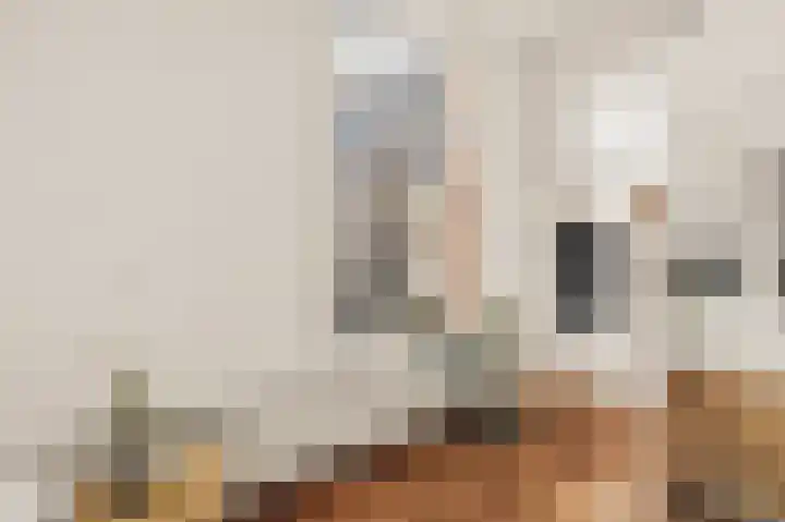 Overtoom 298 1 Amsterdam thumbnail 22