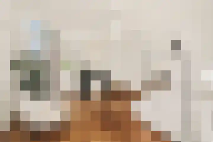 Overtoom 298 1 Amsterdam thumbnail 9