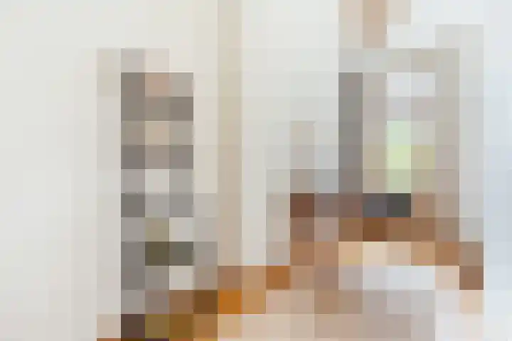 Overtoom 310 2 Amsterdam thumbnail 10