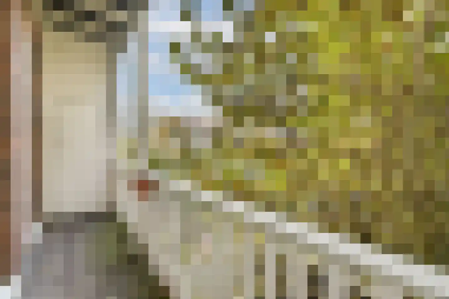Overtoom 310 2 Amsterdam thumbnail 12