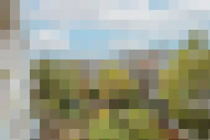 Overtoom 310 2 Amsterdam thumbnail 13