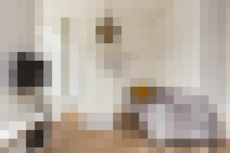 Overtoom 312 Amsterdam thumbnail 5