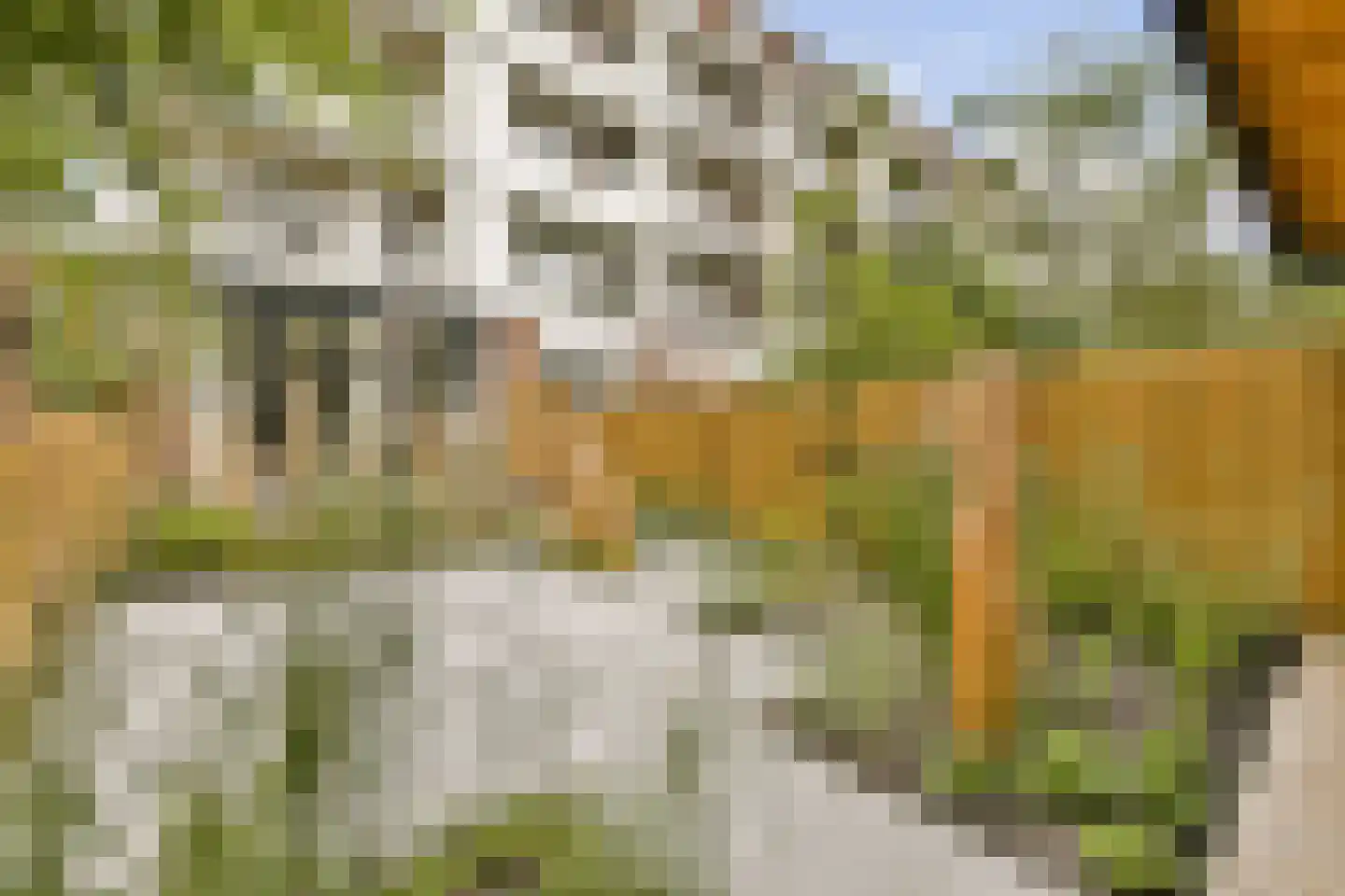 Overtoom 316 3 Amsterdam thumbnail 13